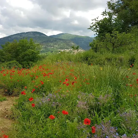 Pensionat Countryside Rome Gerano